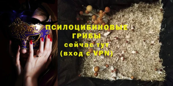 дурь Горнозаводск