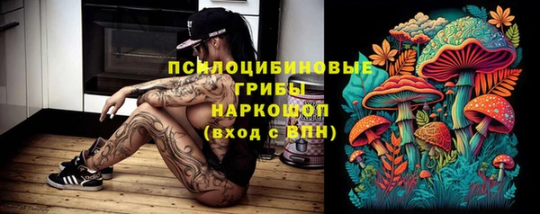 spice Горно-Алтайск