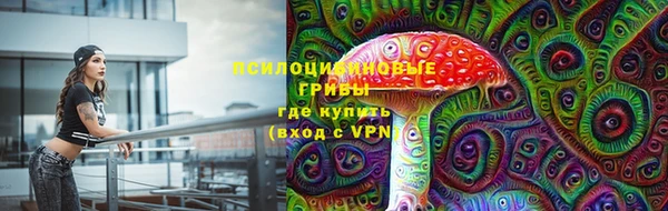 дурь Горнозаводск