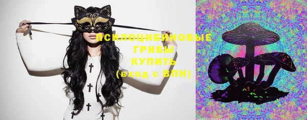 дурь Горнозаводск